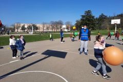 Poull-Ball-1