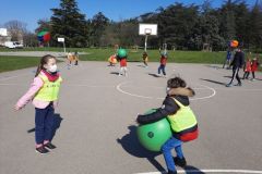 Poull-Ball-10