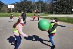 Poull-Ball-11