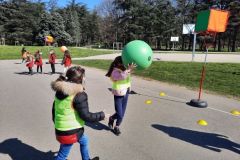 Poull-Ball-12