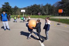 Poull-Ball-2