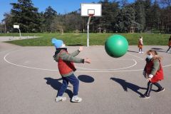 Poull-Ball-4