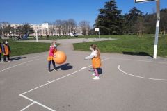 Poull-Ball-8