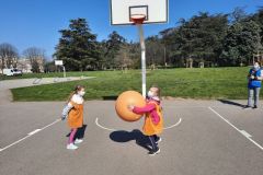 Poull-Ball-9